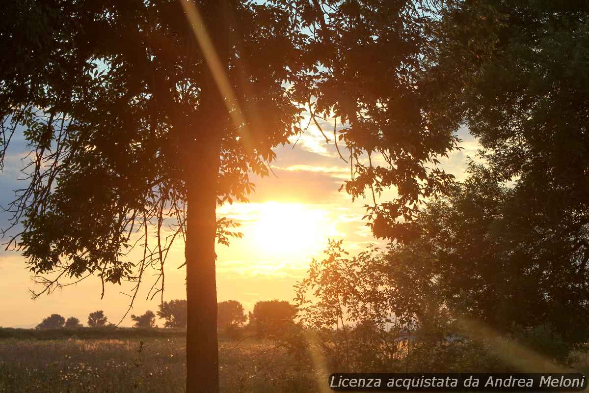 meteo 00564 - Meteo Mantova: nubi sparse in arrivo, ma il sole tornerà presto!